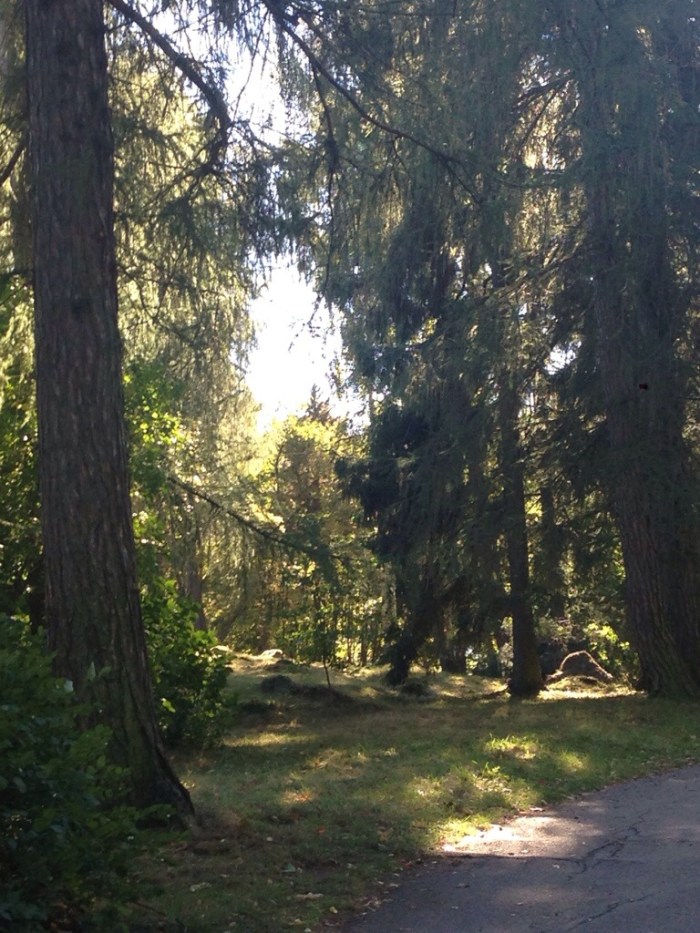 20130929-010525.jpg